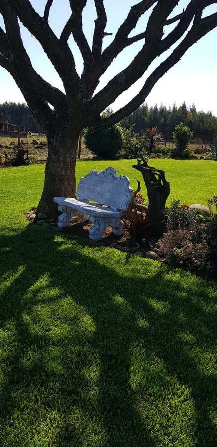Forest Hill Country Lodge Пит Ретиф Екстериор снимка